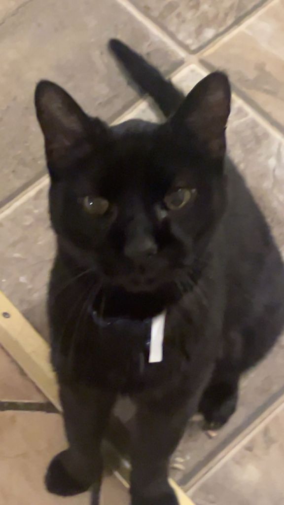 Sidney Profile Photo