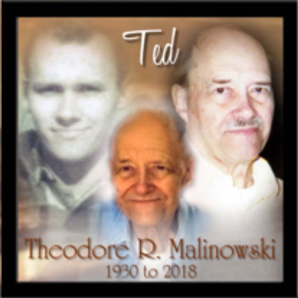 Theodore R. Malinowski