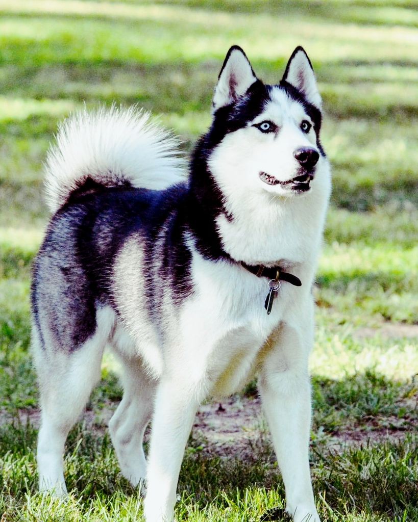 Ares Waters Profile Photo