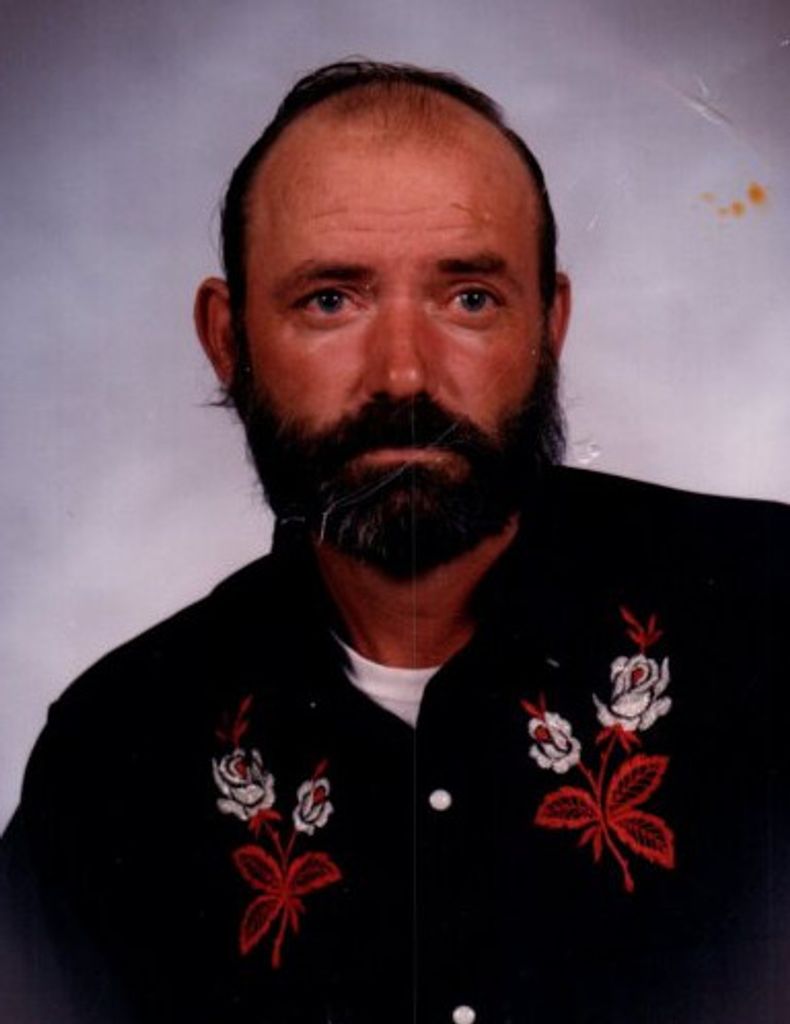 Lacy Todd Profile Photo