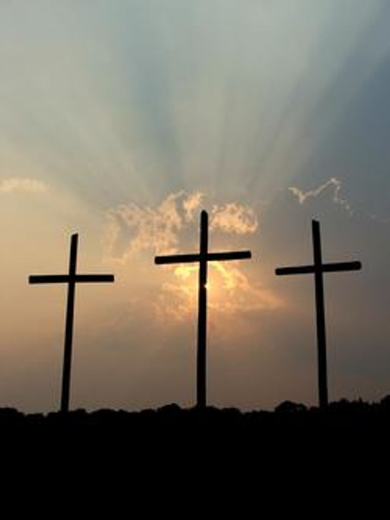 Delton Spring Profile Photo