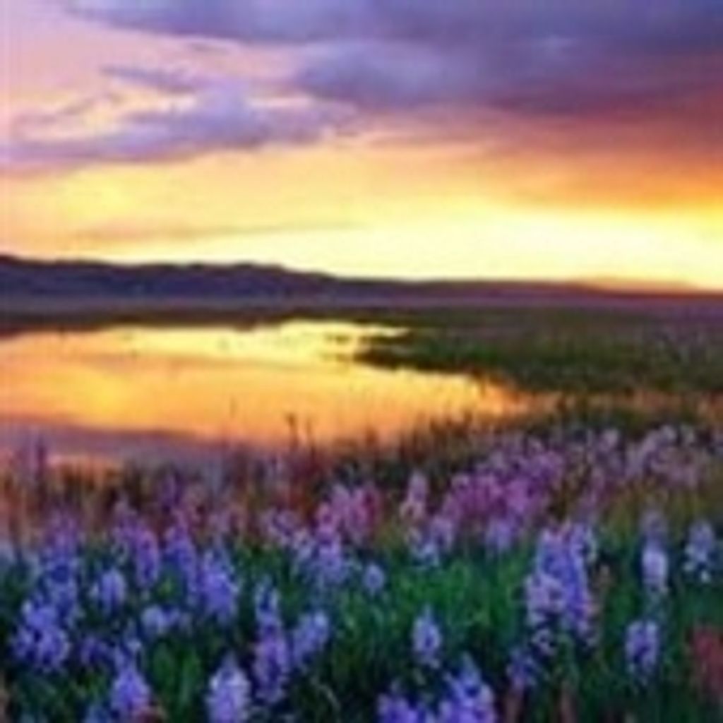 Mary Christine Yanda