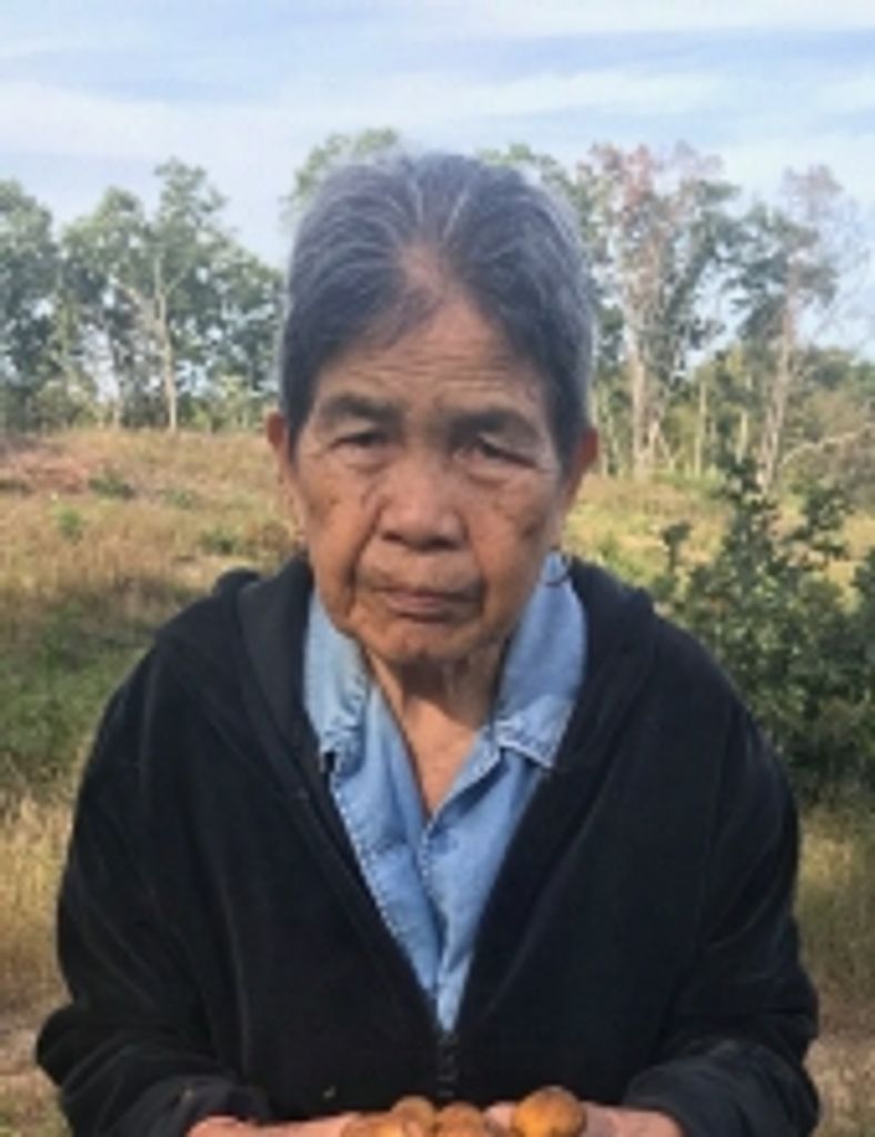 Bang Satthavnh