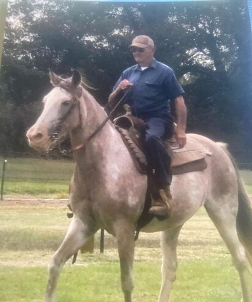 Billy Boyce Hamlett Profile Photo