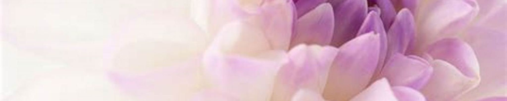 Cover for Carolyn Schaff's Obituary