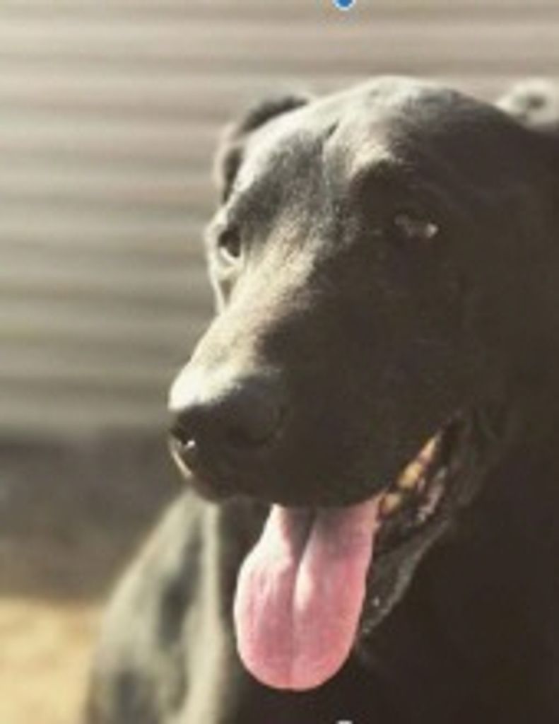 Ruger Barrett Profile Photo
