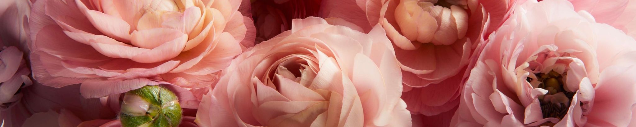 Cover photo for Lydia M. Tarango's Obituary
