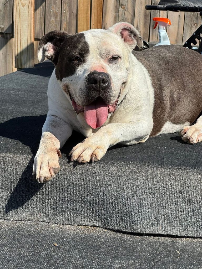 Bella Profile Photo
