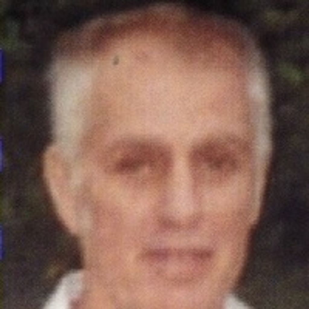 Ronald L. Palm