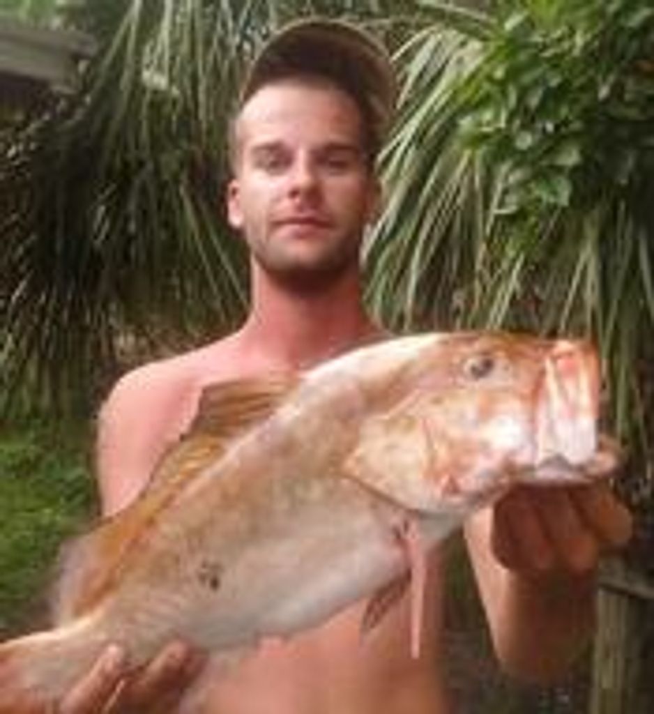 Travis Jordan Pinegar Profile Photo