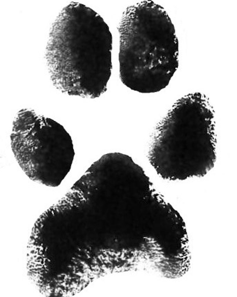 Chumley Michael Profile Photo