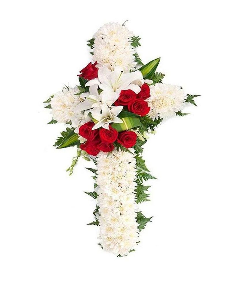 Petra Figueroa O'Neill Profile Photo