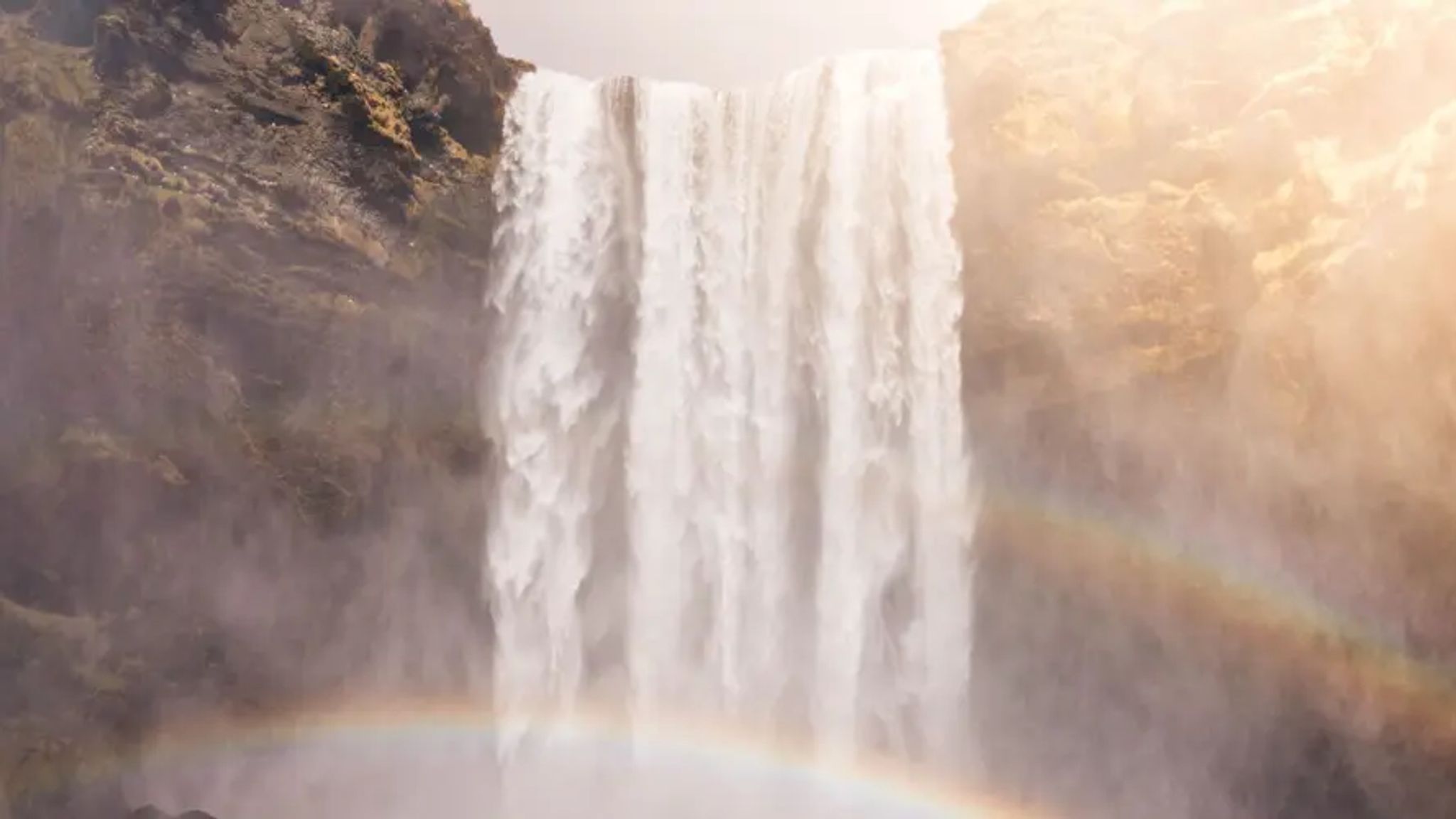 Cover for Daniel Oliver's Obituary