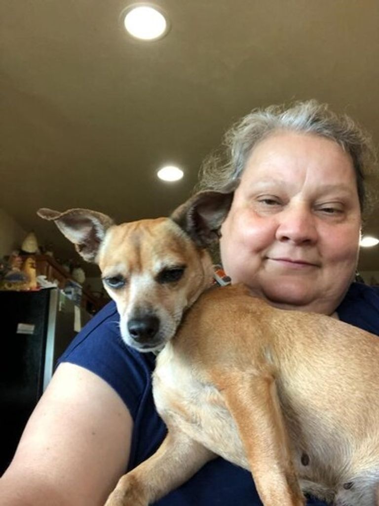 April N. Ledvina Profile Photo