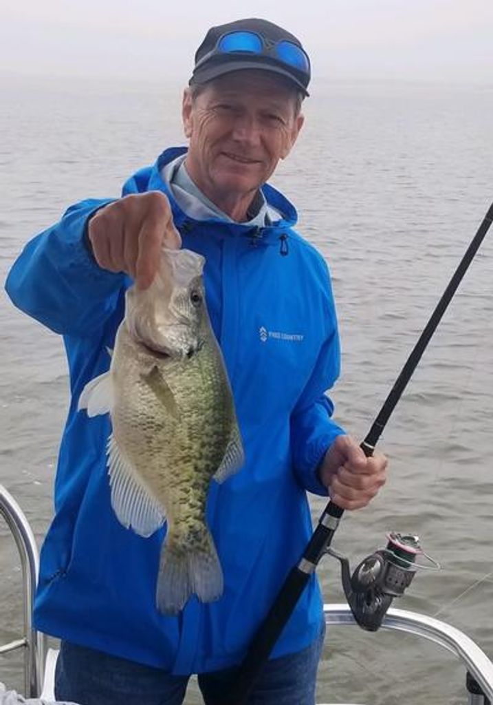Steve Hawkes Profile Photo