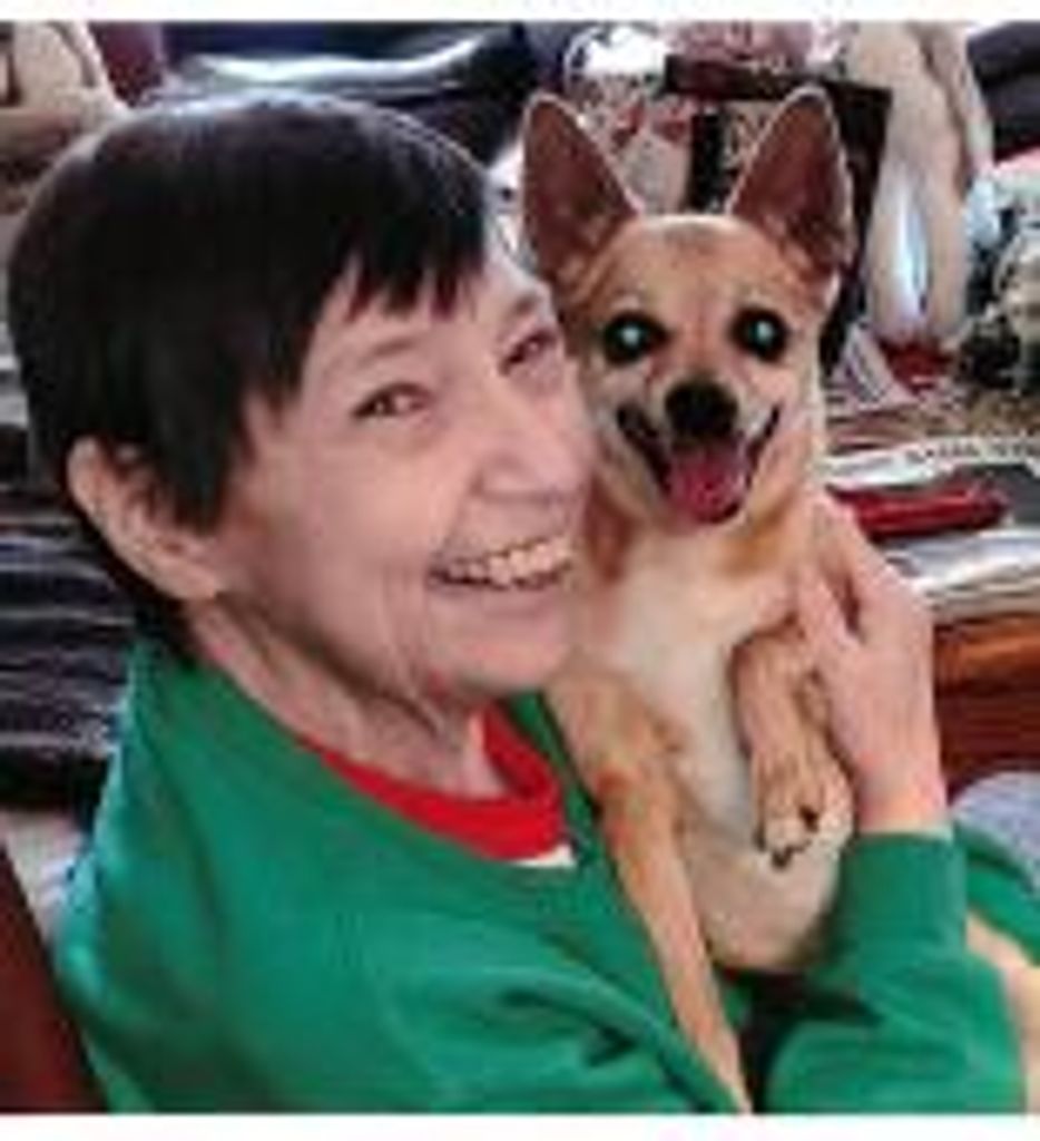 Susan Wilfong Profile Photo