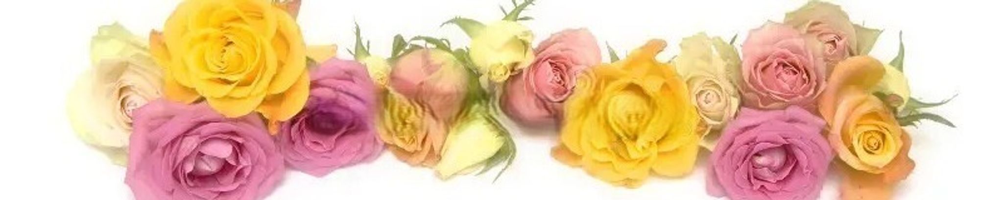 Cover photo for Dorothy A. Babon's Obituary