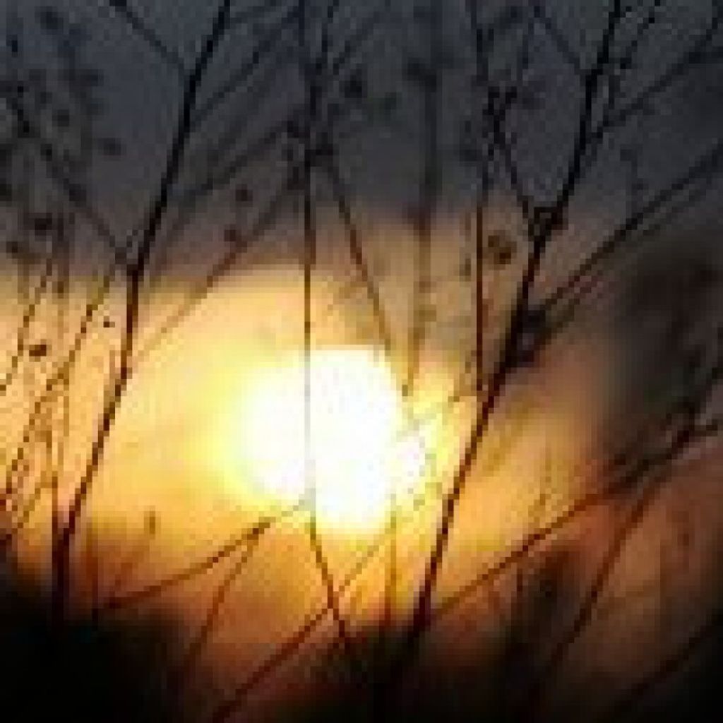 Truman W. Gibson Profile Photo