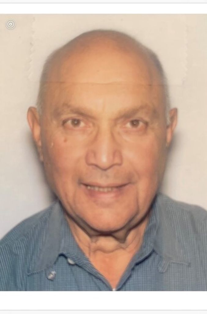 Frank J Frattolillio