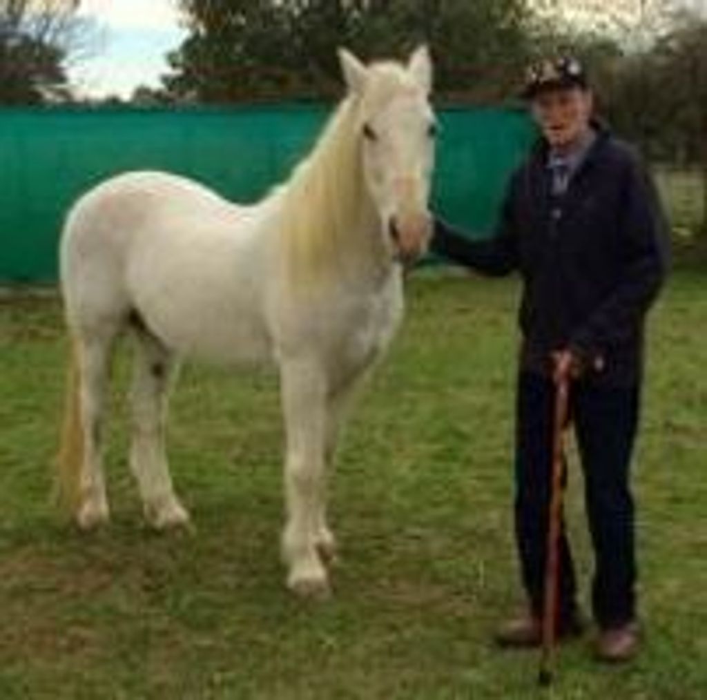 William Durwood Jenkins