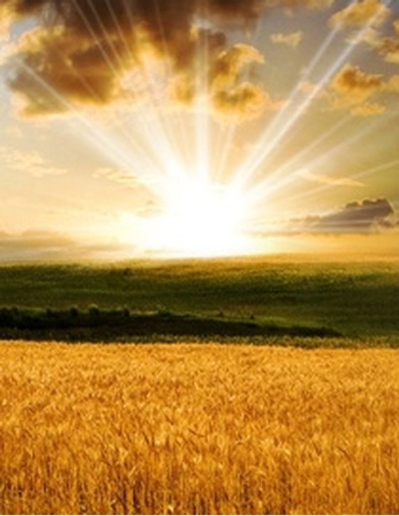 William Edward Preston, Sr.