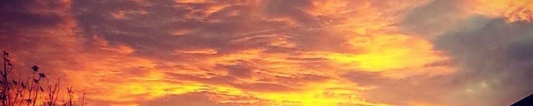Cover photo for Macayla "Mac" Osterhout's Obituary