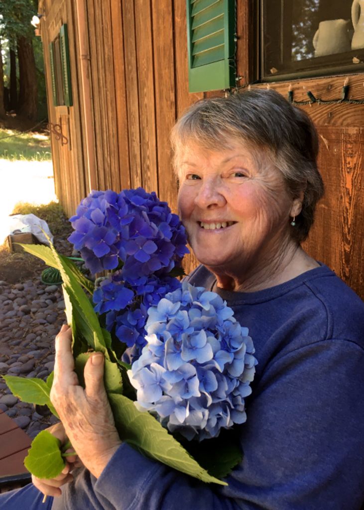Sheila Anne (Mullins)  Hansen