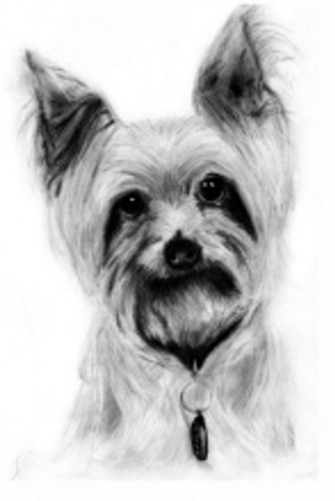 Joey Eggerding Profile Photo