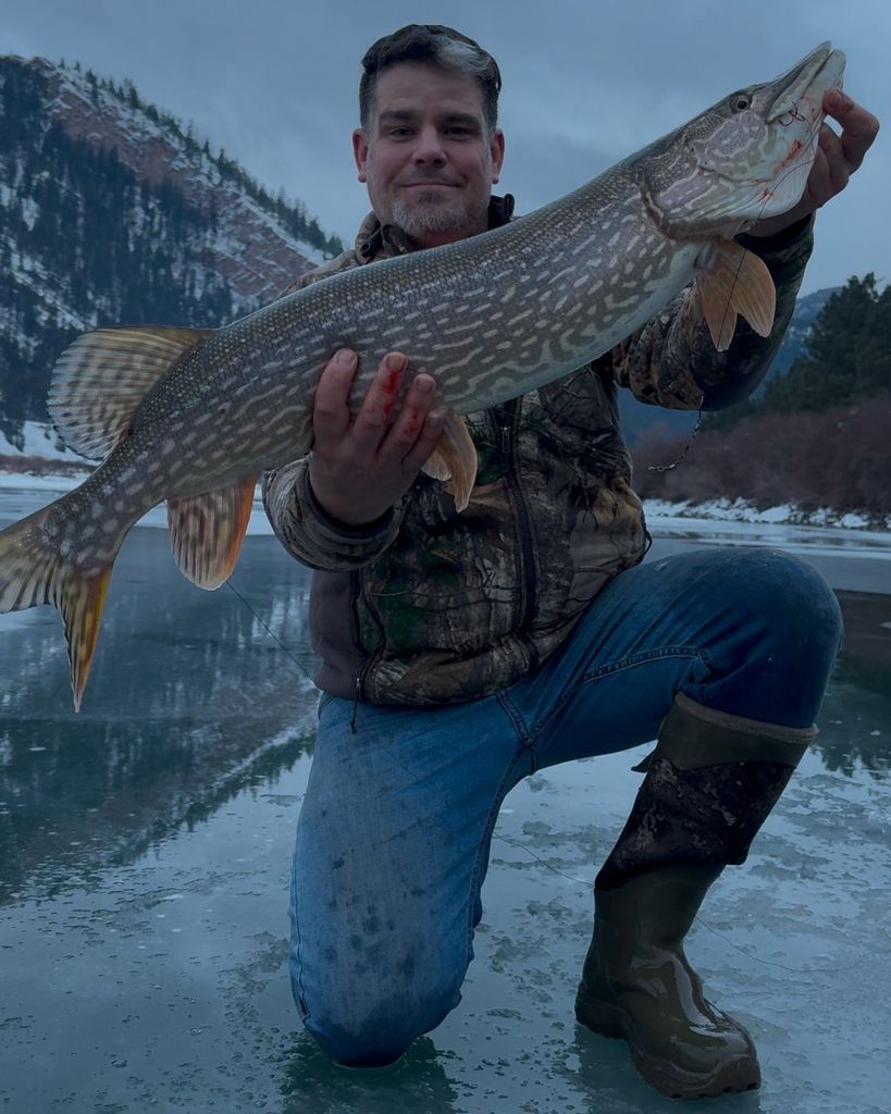 Ryan L. Pollock Profile Photo