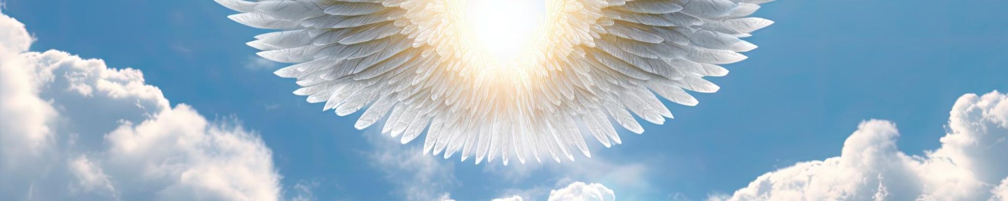 Cover photo for Alberto Luis Colon's Obituary