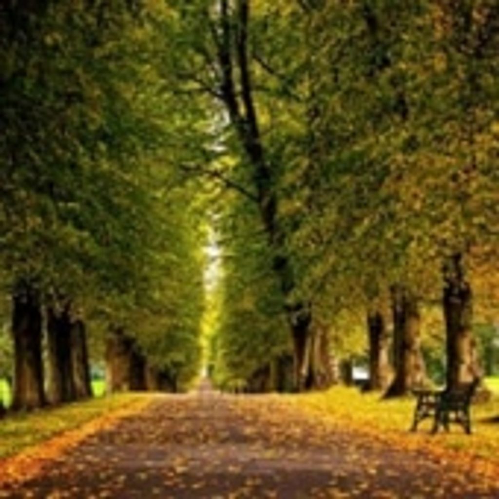 Henry Clayton Parker Jr.