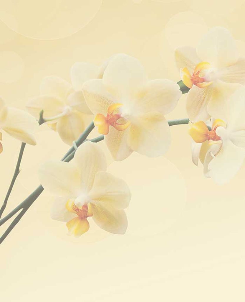 Theodore Louis Wilson Profile Photo