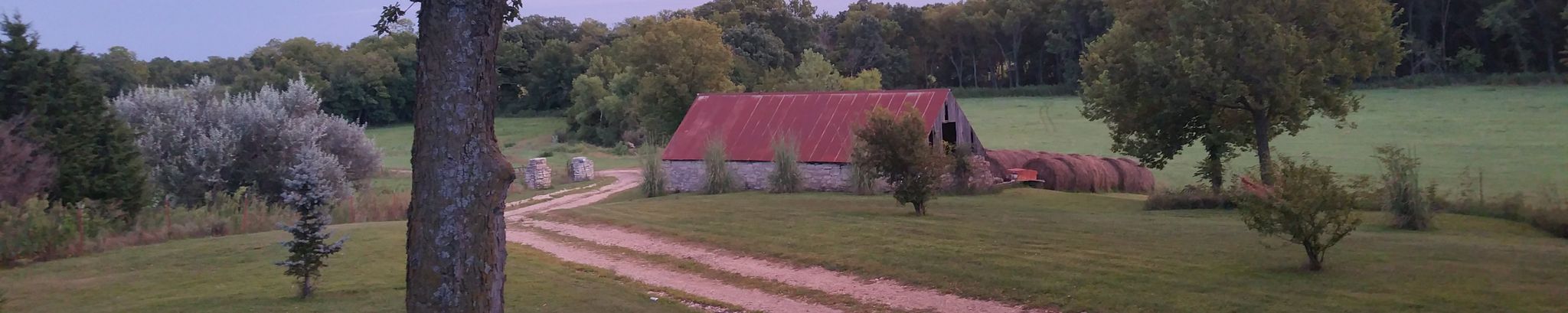 Cover for Danny Ray Miller's Obituary