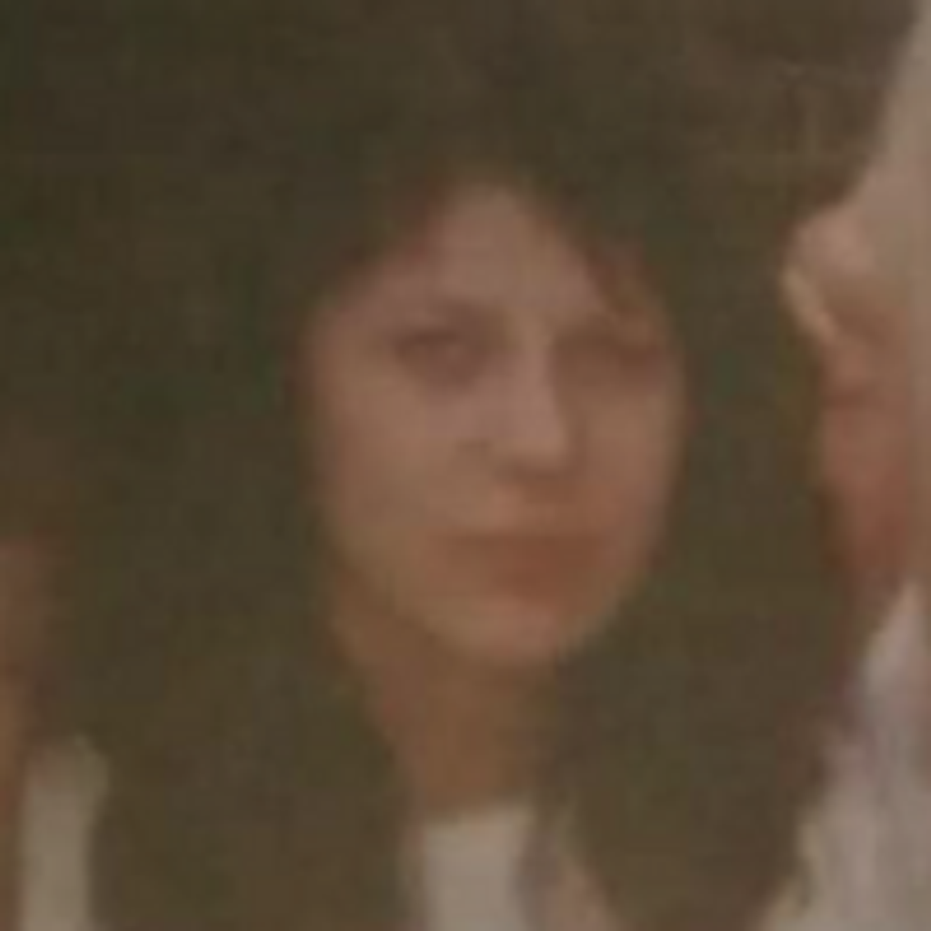 Cheryl L. Favino Profile Photo