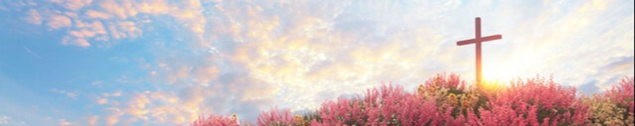 Cover photo for Lois Haley Shelton's Obituary