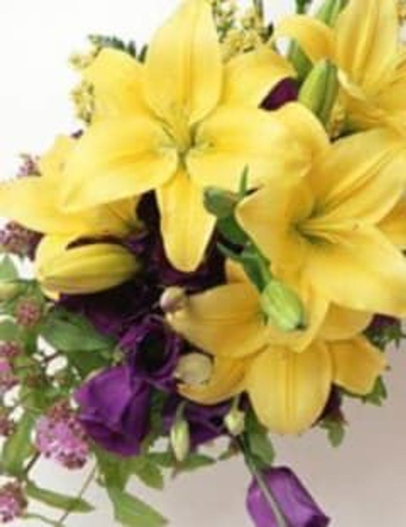 O’Neal Neely Jr. Profile Photo