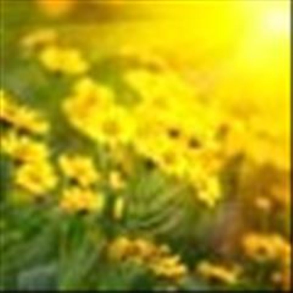 Ila Marie Church Profile Photo