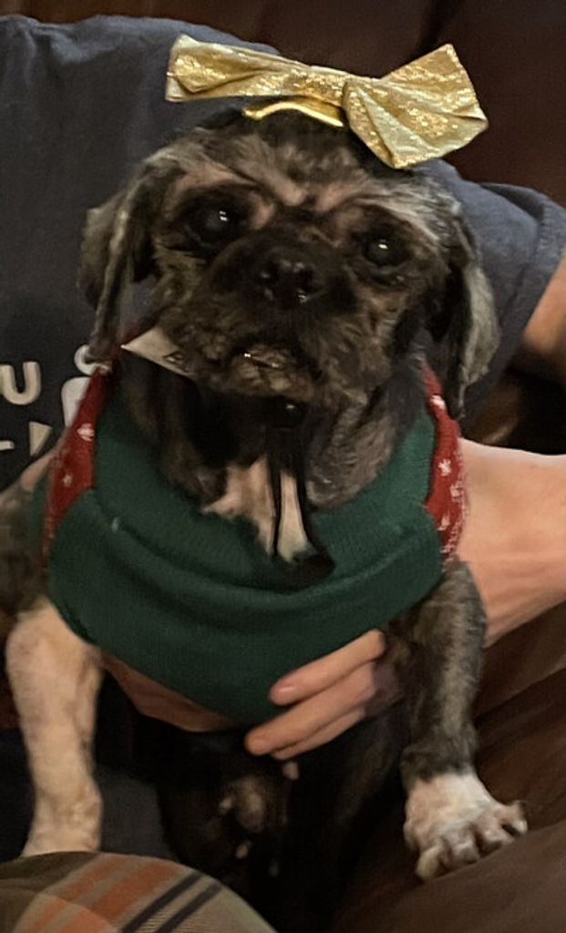 Bella Falls Profile Photo
