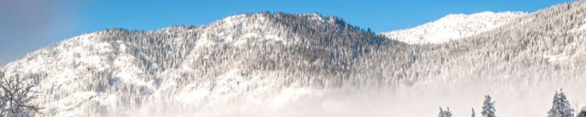 Cover for George Aubrey Trusler III's Obituary