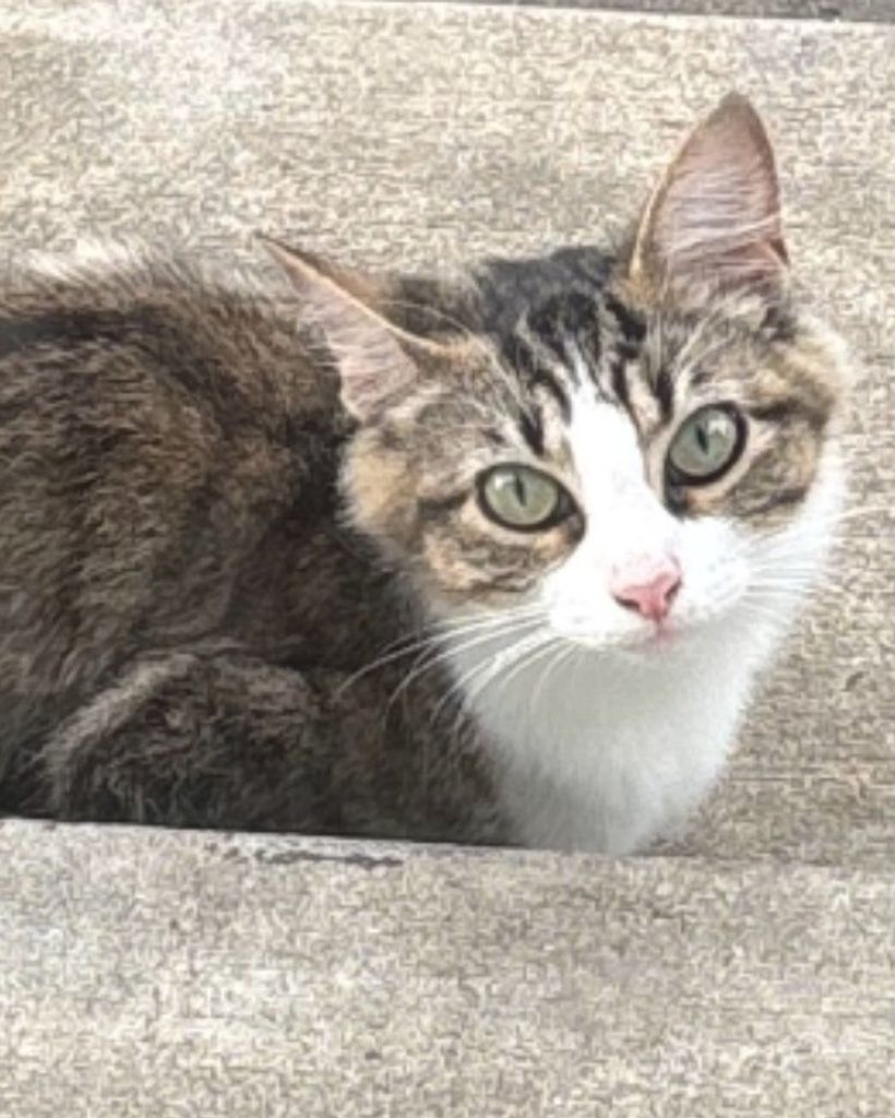 Nola Buza Profile Photo