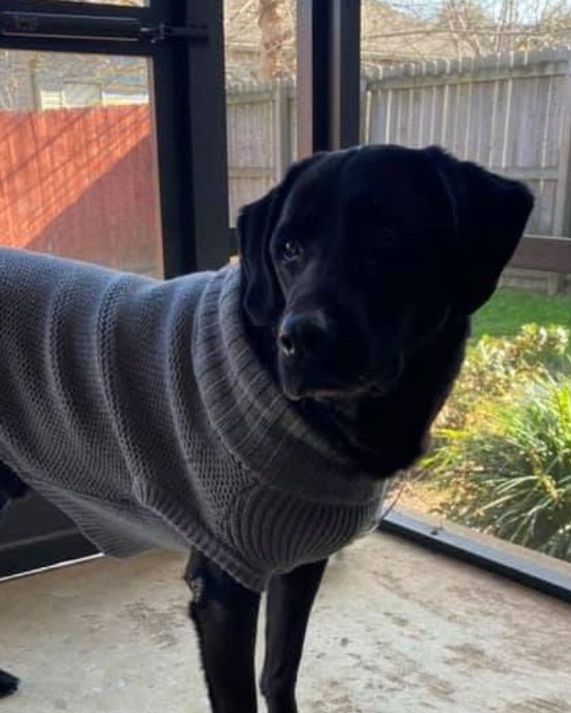 Philly Luna Profile Photo