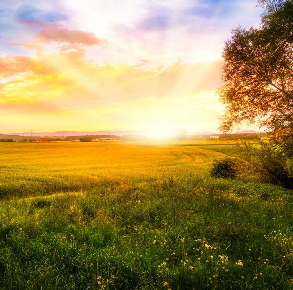 Marie Estelle (Sutton)  Boyd Profile Photo