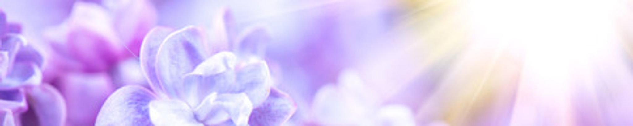 Cover photo for Samantha C. Pichette's Obituary