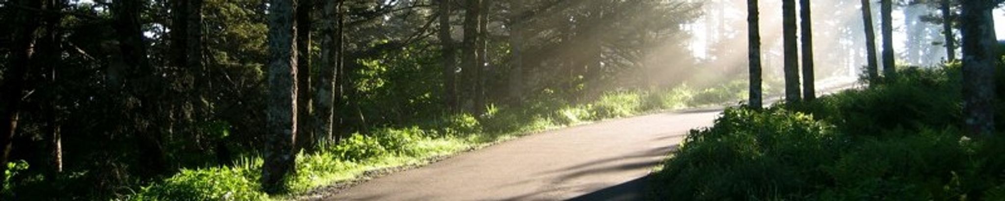 Cover photo for Randy Neal Large's Obituary
