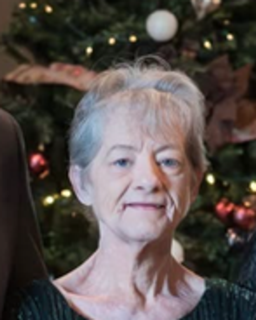Mary Joan Michael Pettit