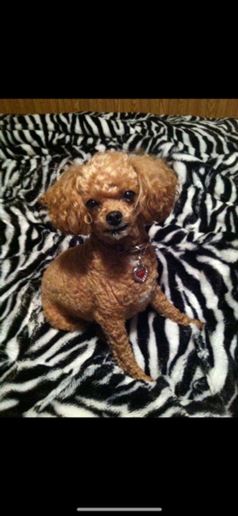 Abeni Dada Eloise Roadruck