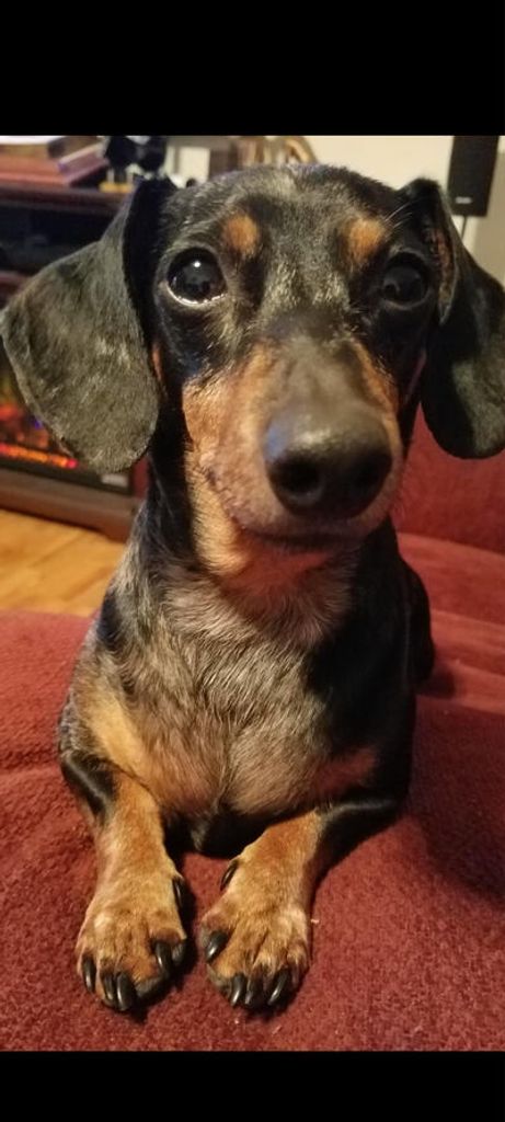 Rebel Fulbright Profile Photo