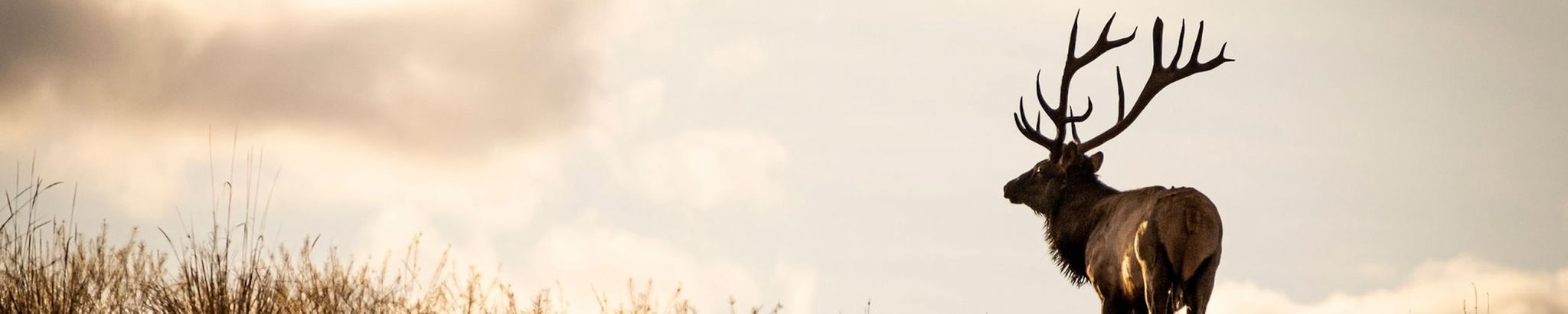 Cover for William "Bones" Armstrong's Obituary