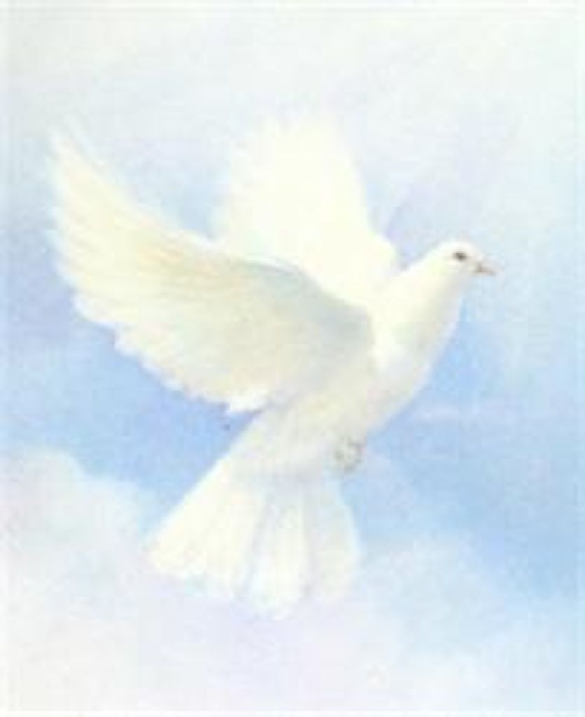 Virginia Erickson Profile Photo