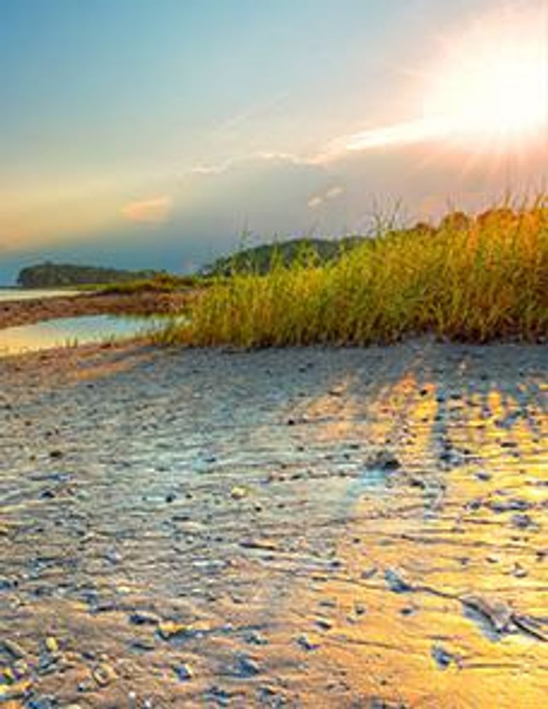 Kailin Robert Beckemeyer Profile Photo